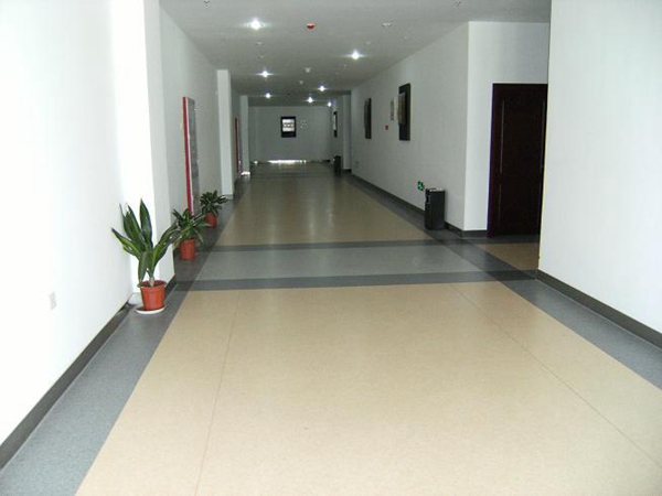 PVC卷材地板系列 (2)